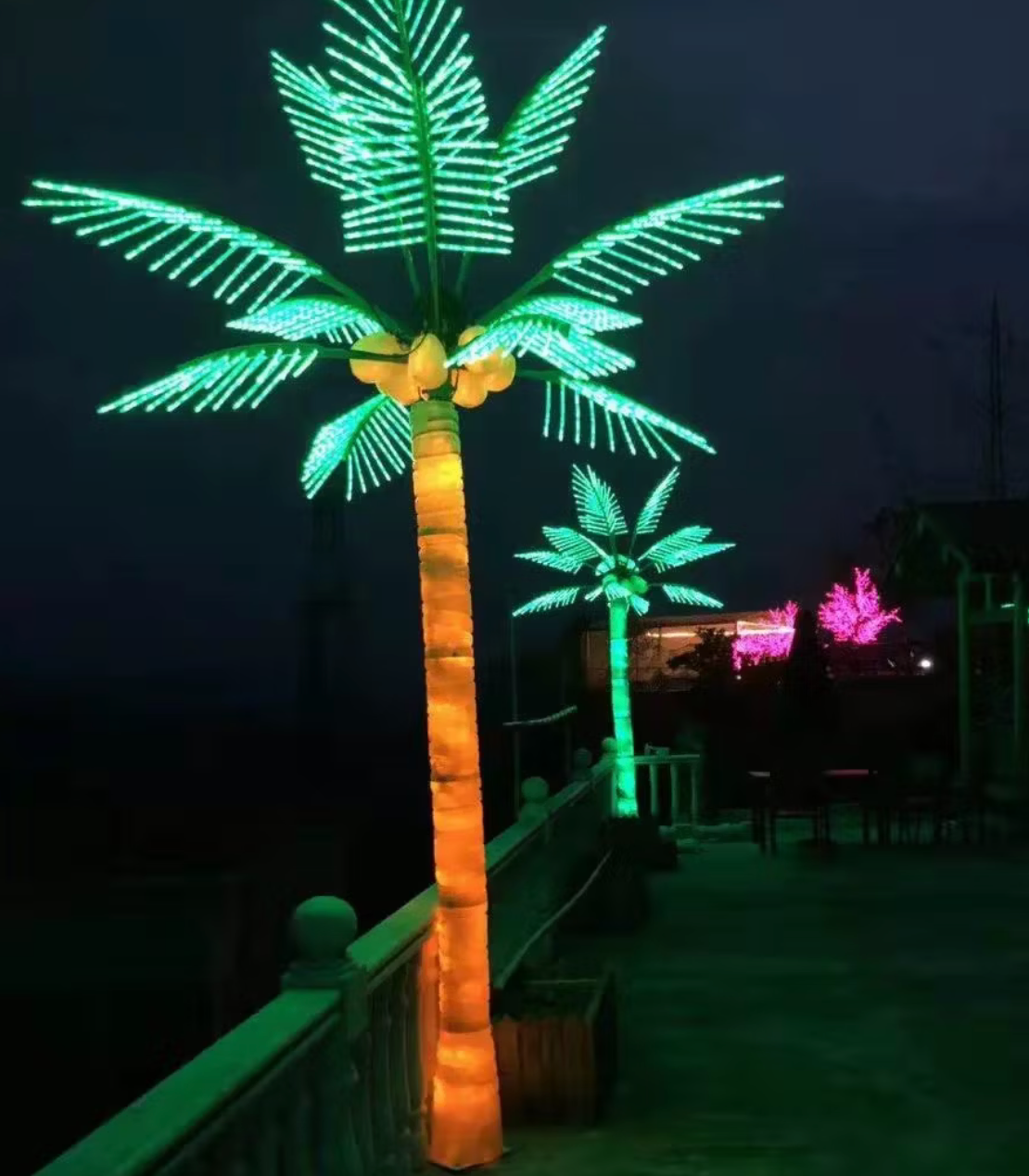ALMAS Coral - PTY2